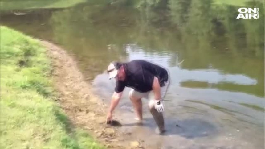 Риба в мътна вода