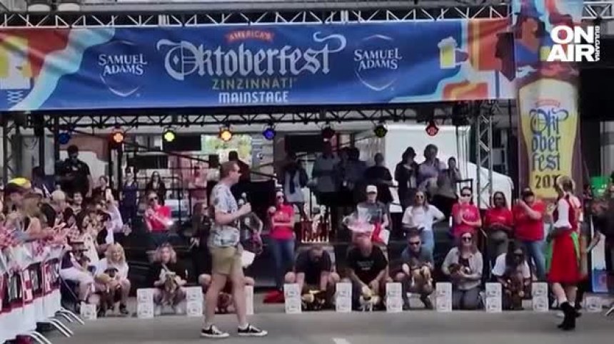 Десетки дакели, облечени като хотдог, се събраха в Синсинати за надбягване