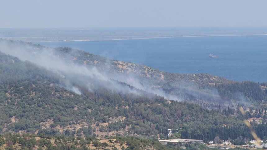 Огнен капан: Огромен пожар край Кавала, пламъците заплашват маслинови гори и борове