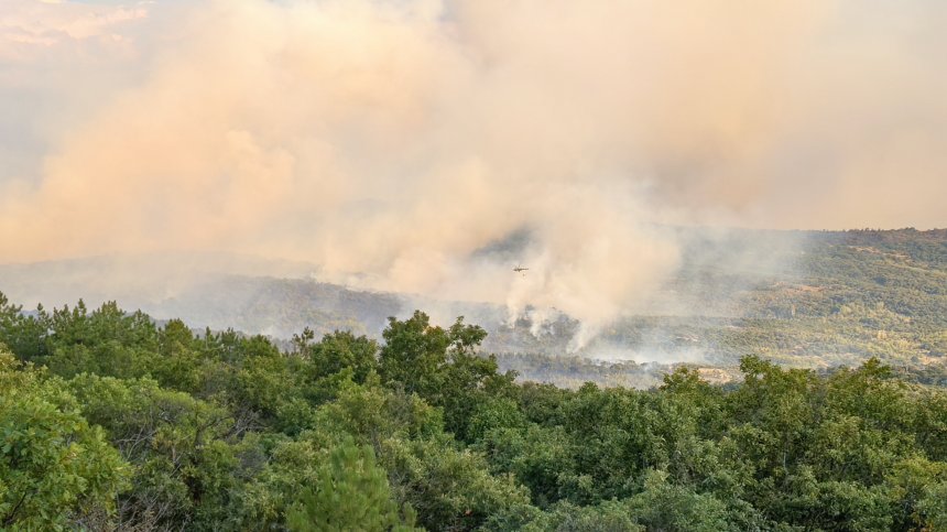 Лозя и сухи треви горят между селата Коларово и Изворово