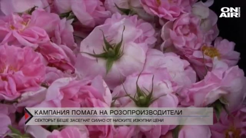Кампания набира средства в помощ на розопроизводители у нас