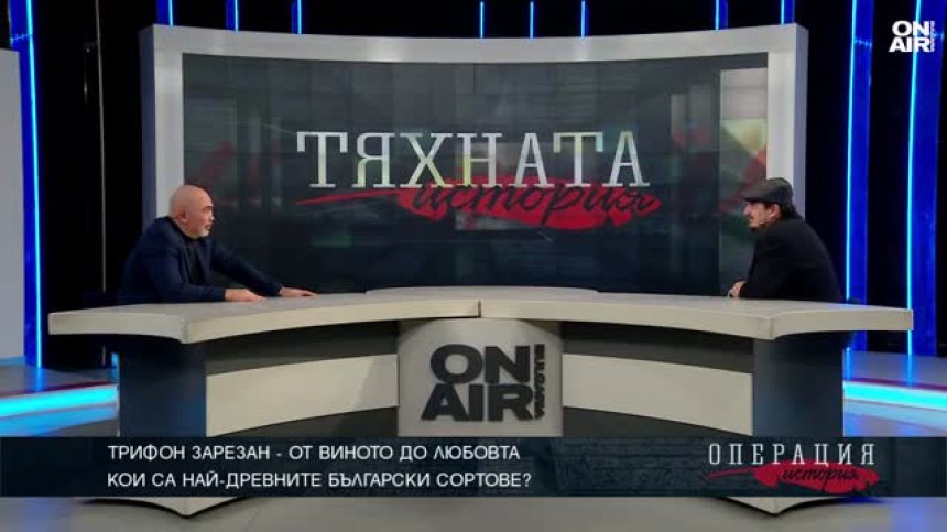 Пелинът като афродизиак: Където и да копнеш в България, може да расте грозде