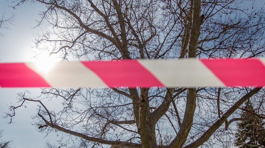 Откриха мъртва изчезналата жена от Дом за възрастни в с. Вратца