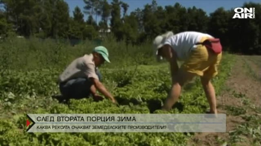  Коронавирус и втора порция зима &ndash; каква реколта очакват в земеделието?