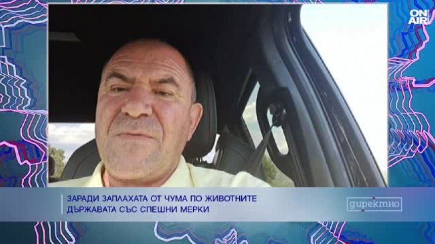 Как се борят фермерите с приближаващата чума по дребните преживни животни?
