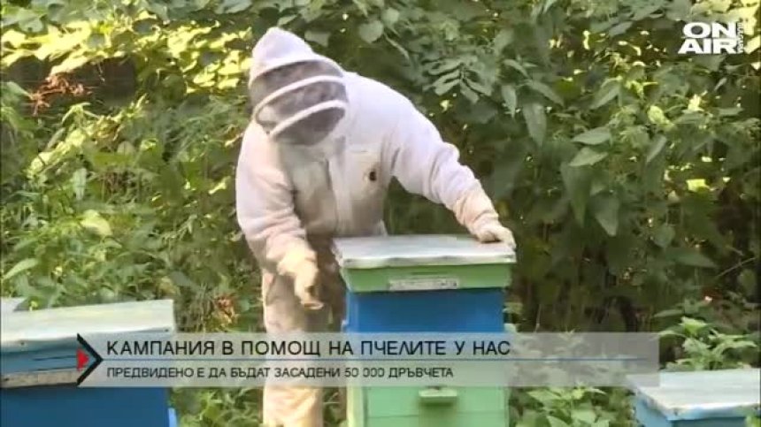 Отчитаме драстичен спад в добива на мед