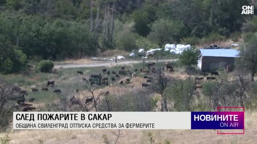 Късна емисия