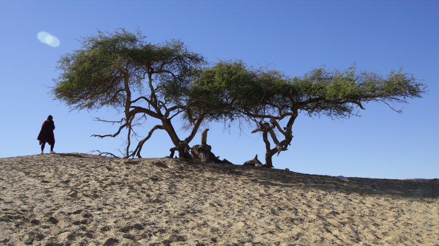 Учени: Децата ни ще имат "невиждан до момента живот" – пълен с катаклизми