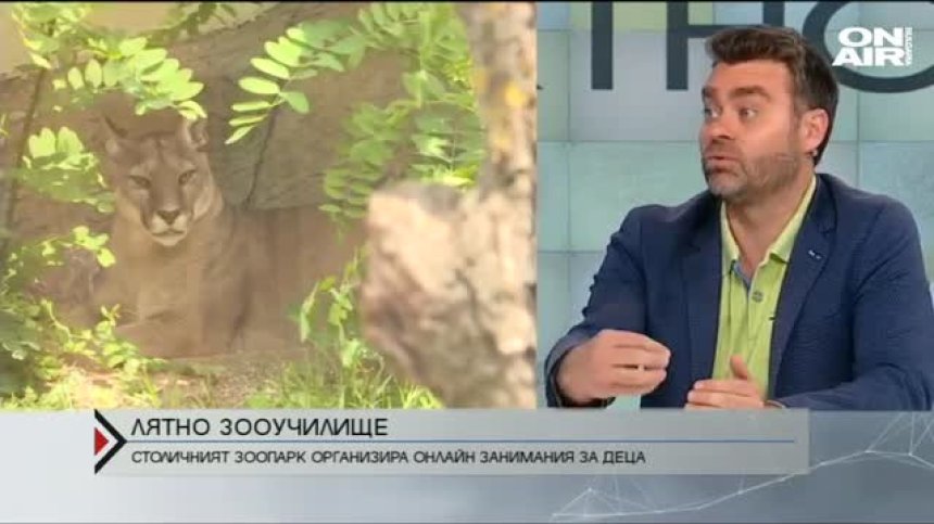 Столичният зоопарк отново с лятно училище