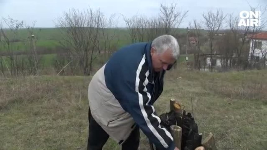 Традиция от десетилетия: В село Бряст вече издигат кладите за Сирни Заговезни