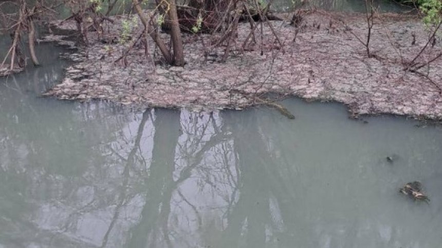 РИОСВ - София проверява какво има в мътните сиви води на р. Сливнишка в Костинброд