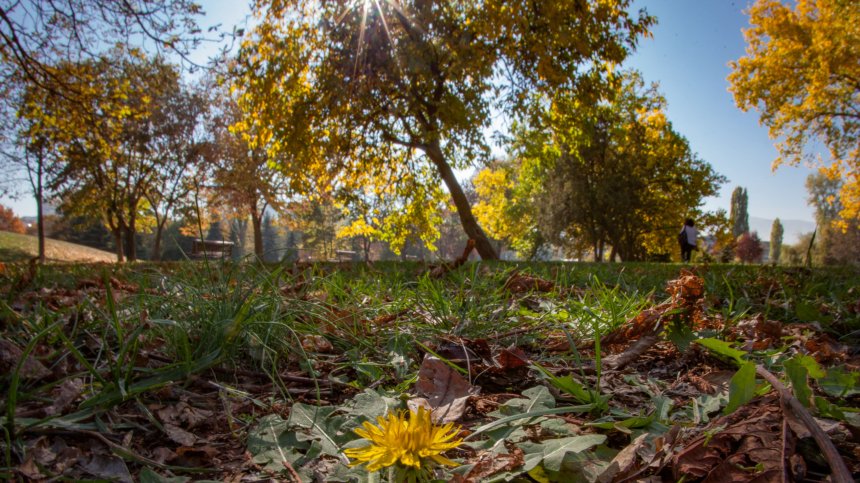 Слънцето ще изгони сутрешните мъгли в събота с температури до 18 градуса