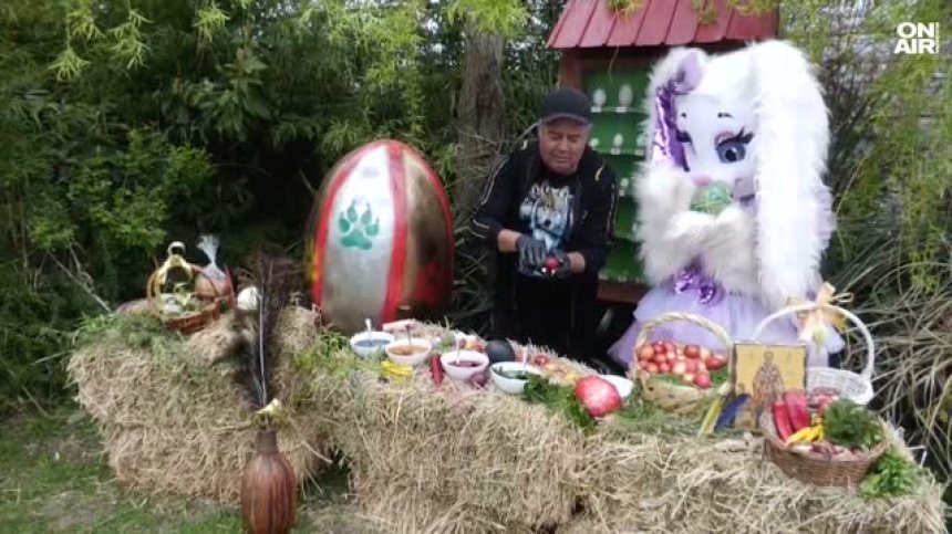 Oчаква се пристигането на истински лилави зайци в зоопарка в Бургас