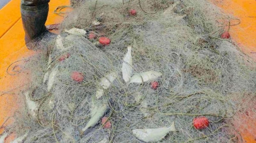 ИАРА разкри незаконна продажба и улов на риба в Поморие и Варна