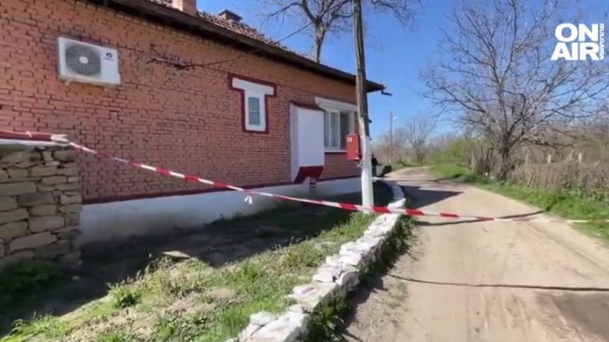 Убитата от кучета жена била нападната от домашни животни, открити са с петна от кръв