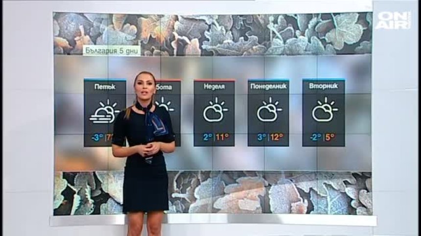 Централна прогноза