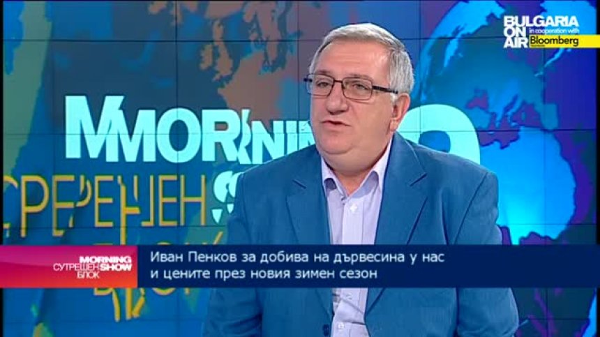 Слаб контрол на институциите е в основата на незаконната сеч в горите