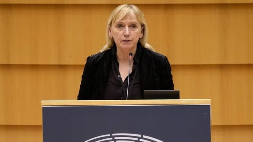 ДПС: ЕК започва проверка за полицейско насилие в България