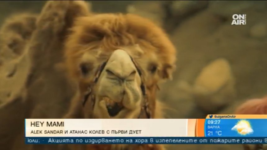 "Hey Mami" &ndash; новото парче на Алек Сандър, претендиращо за летен хит