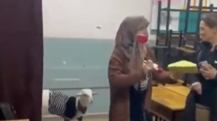 Жена гласува с агнето си на балотажа в Турция (+ВИДЕО)