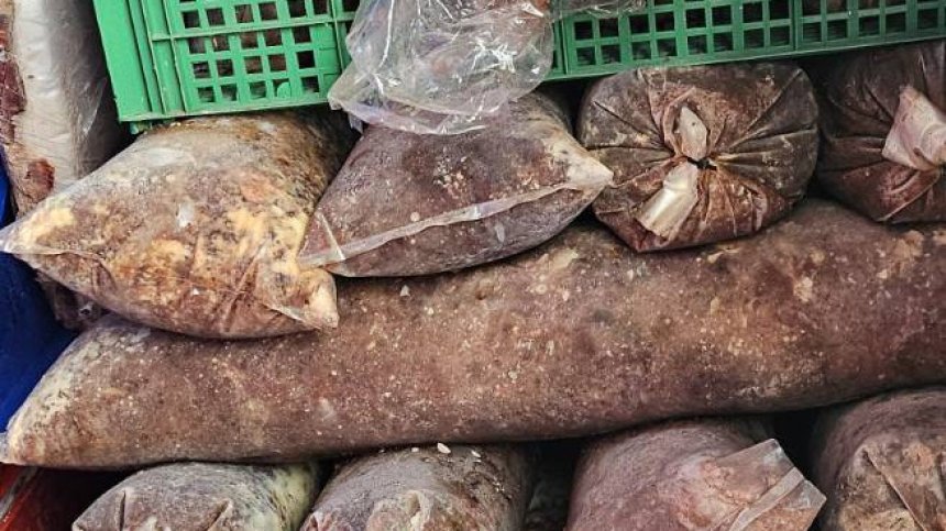 БАБХ разкри втора незаконна кланица в Дебелец