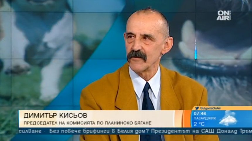 Заради кучетата в парка: Екозащитници обвиняват спортен клуб в насаждане на омраза