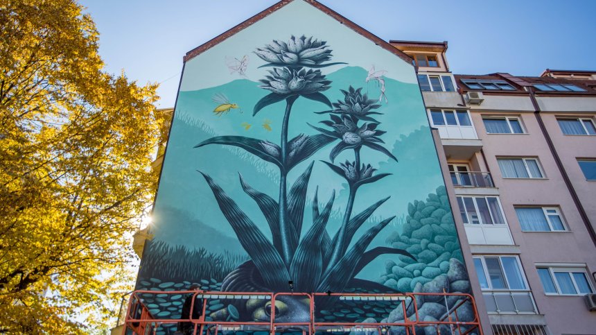 Испански художник удиви столичани със стенопис на тема "Витоша"