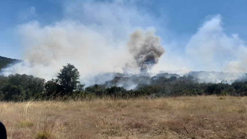 Хеликоптер гаси голям пожар в Сакар планина край село Българска поляна