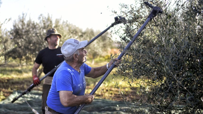 Гърция: Увеличаването на доходите е единственото решение срещу високите цени на храните
