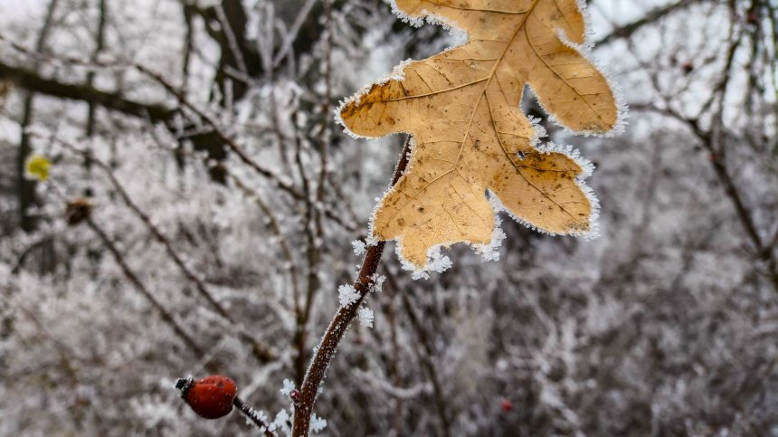 Времето днес: Мразовито начало на седмицата с валежи от дъжд и сняг