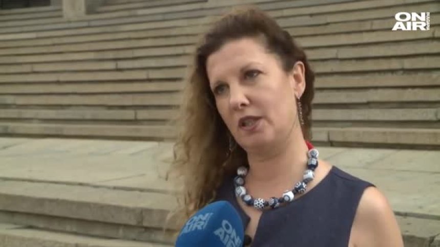 Реквием за едно недоволство: Между улицата и урните - говорят лицата на протестите