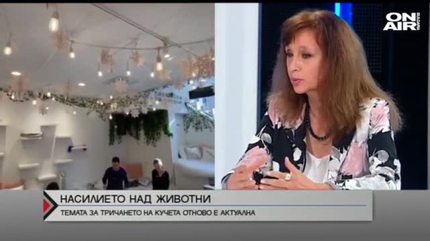 България попадна в световна петиция срещу изтезанието на животни