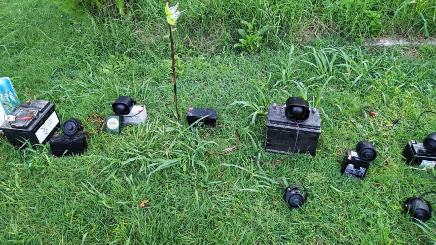 Горски инспектори задържаха нерегистрирани ловни трофеи от сръндак и елен