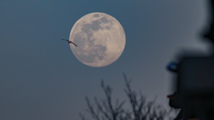 Първото пълнолуние за пролетта: Супер розовата Луна