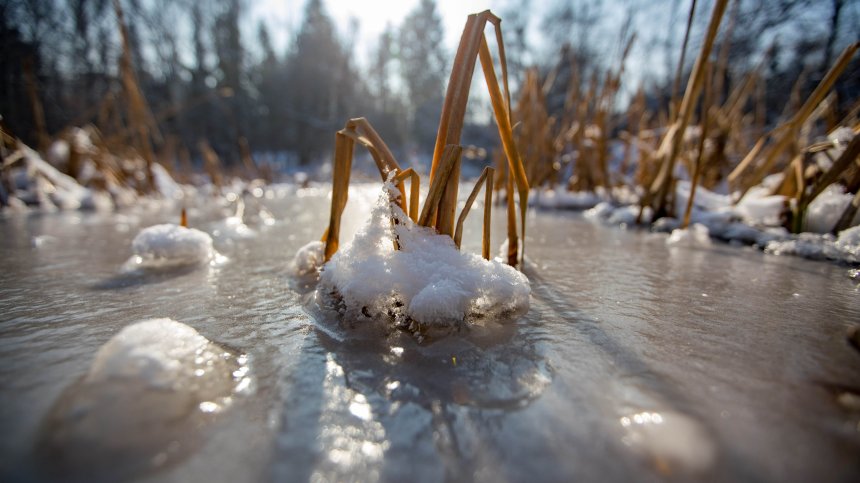 Отчетоха смразяващите -16 градуса тази сутрин у нас
