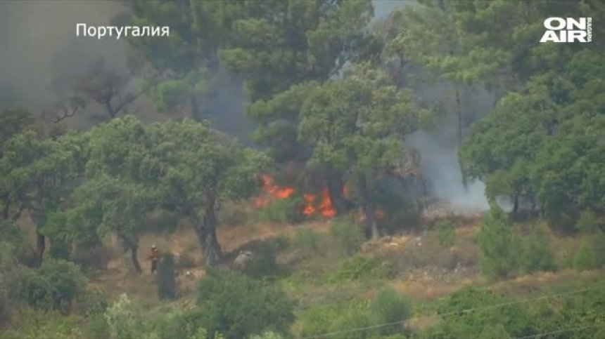 Нов пожар в района на Атина, пламъци бушуват и в Португалия, в Австралия - невиждана суша