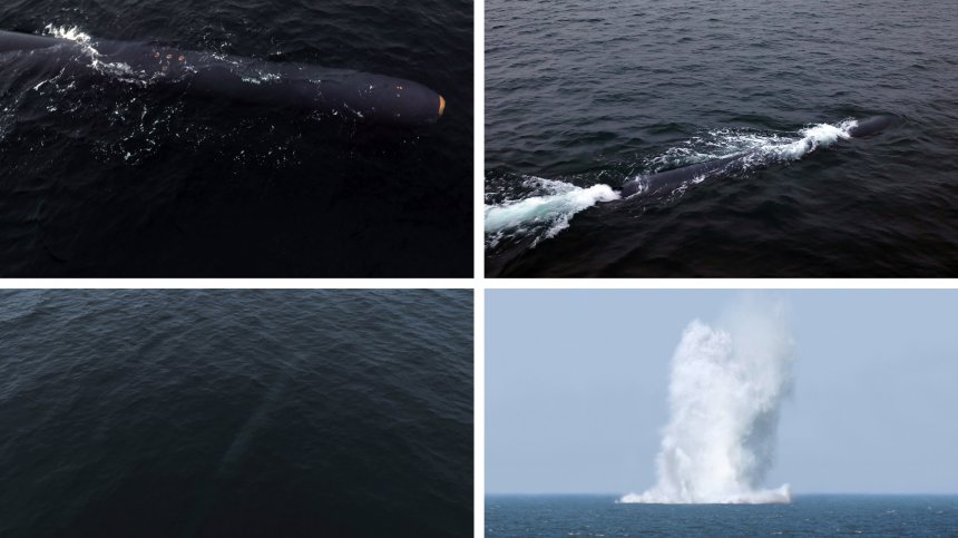 Северна Корея тества успешно подводен дрон с бойна глава