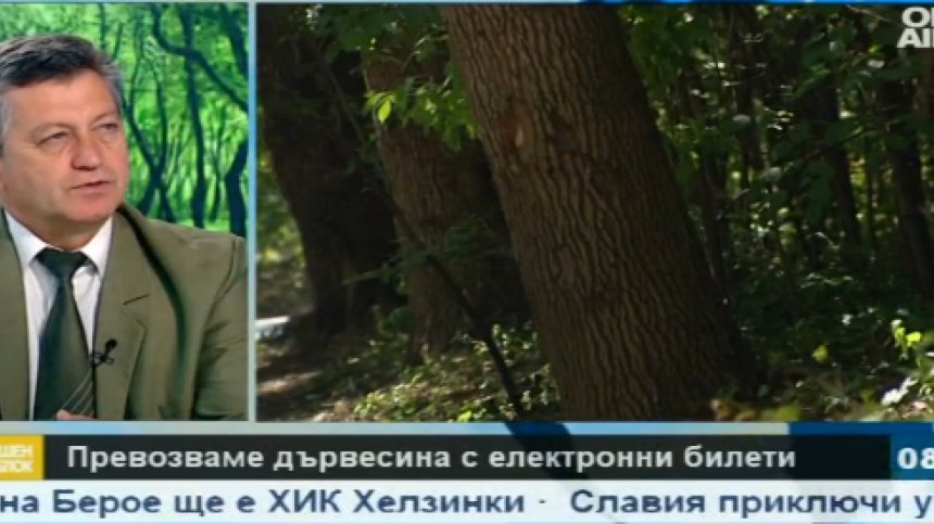 Каква е целта на електронните превозни билети за дървесина?