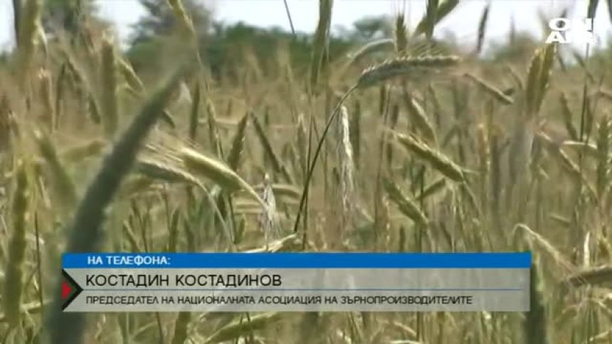 Цената на хляба няма да скача