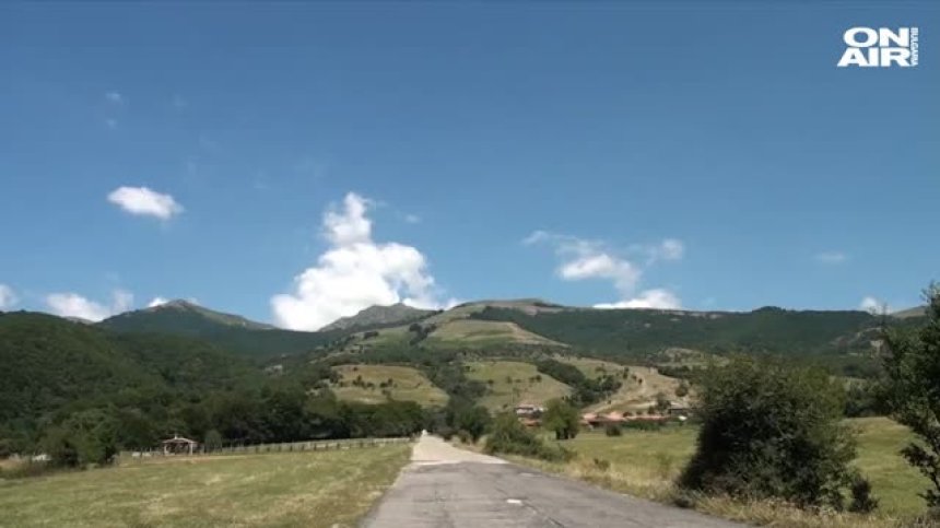 Диво прасе нападна турист в Стара планина