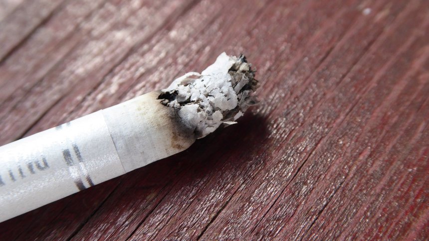 Фас издаде крадец от Димитровград, обрал пенсионерка през лятото