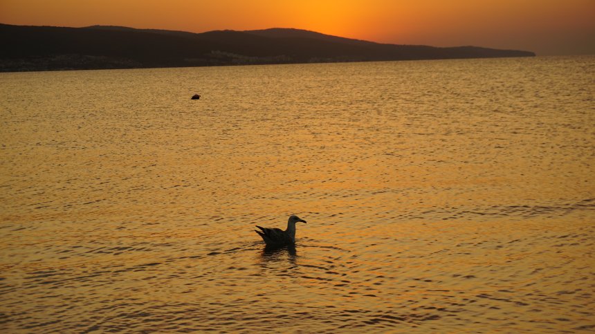 Горещо начало на новата седмица, на места термометрите ще показват 40°