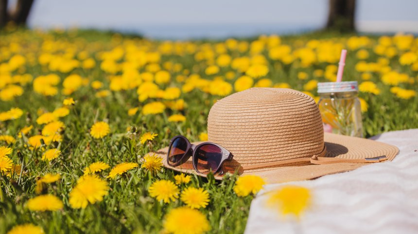 Изпращаме работната седмица със слънце и температури до 36 градуса