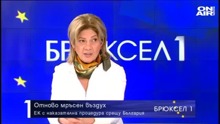 Нона Караджова: Ще се въвежда забрана за изгаряне на дърва и въглища