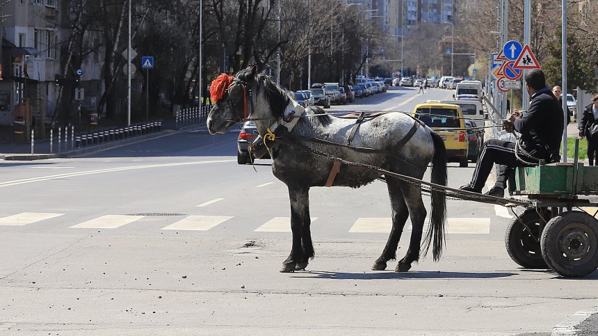 Каруца блъсна жена на пешеходна пътека в Асеновград