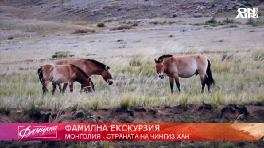 Фамилна екскурзия до Монголия - страна на номади, необятни степи и диви коне