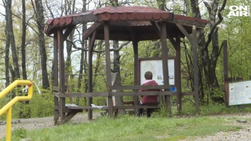 Пикник на "Витоша" - само за членовете на едно семейство