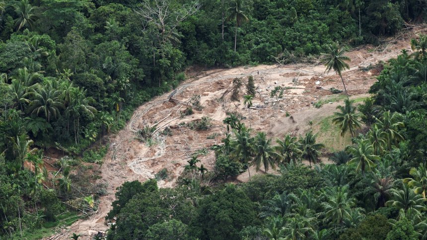12 души загинаха при свлачище на речно пристанище в Перу