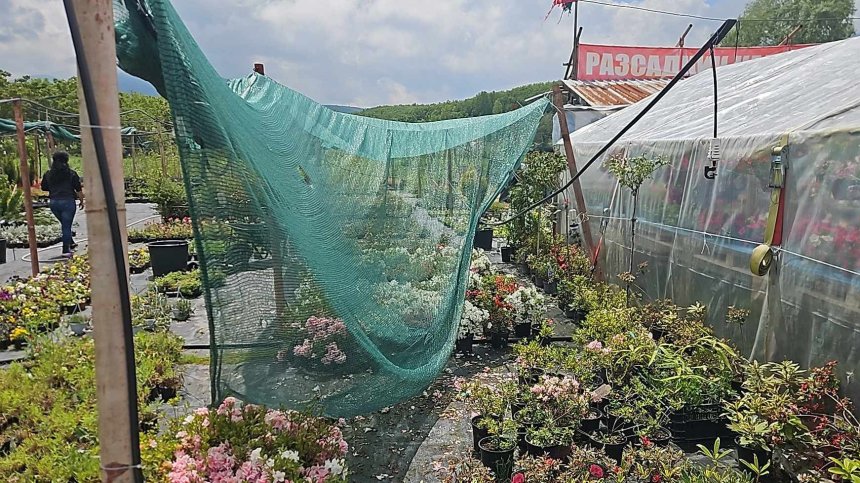 Тополово след градушката: Унищожена реколта, покриви и коли на дупки (ВИДЕО)