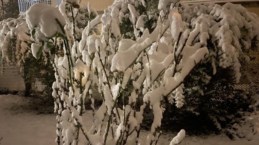 Квартали в София останаха без ток заради пожар, други - заради снеговалеж 